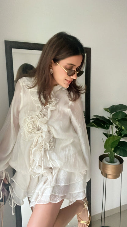 Rose Illusion Dress