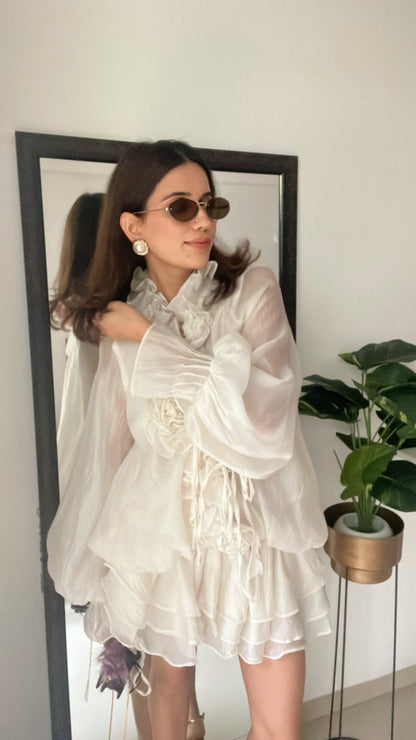 Rose Illusion Dress