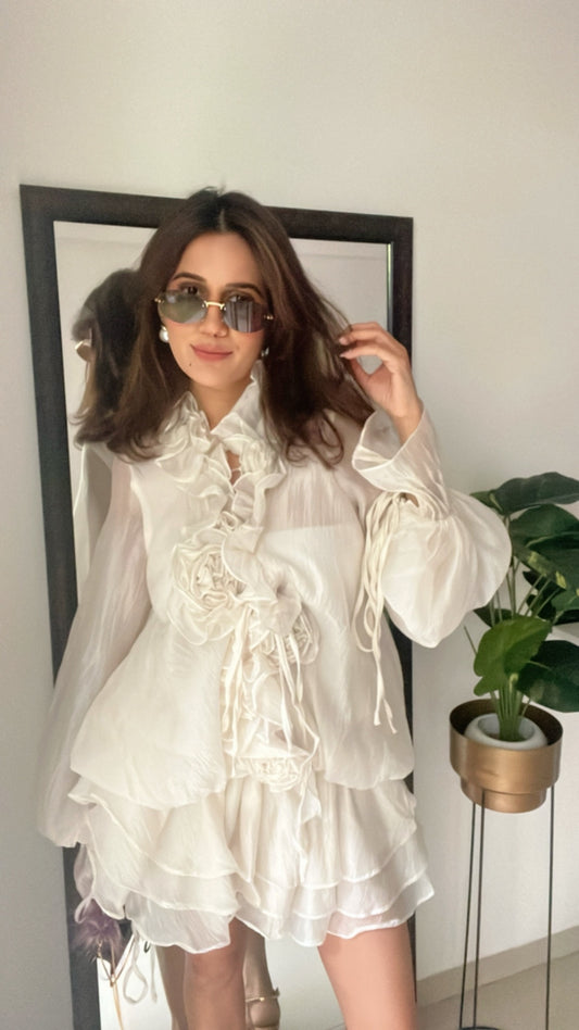 Rose Illusion Dress
